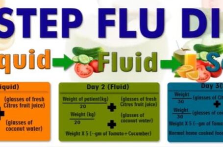 3 Steps Flu/Covid Diet