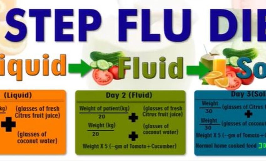  3 Steps Flu/Covid Diet